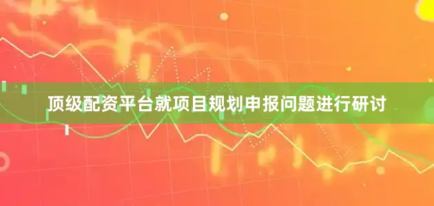 顶级配资平台就项目规划申报问题进行研讨