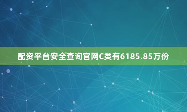 配资平台安全查询官网C类有6185.85万份