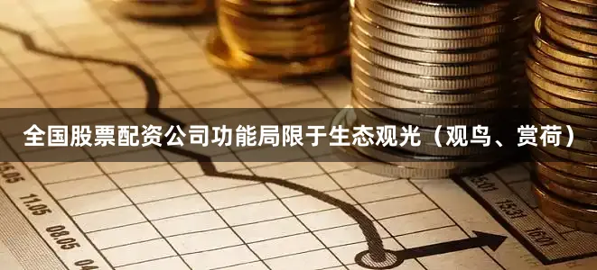 全国股票配资公司功能局限于生态观光（观鸟、赏荷）